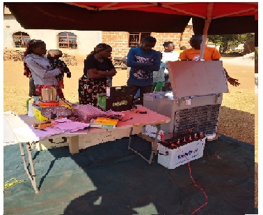 Community Solar Mini-Grid